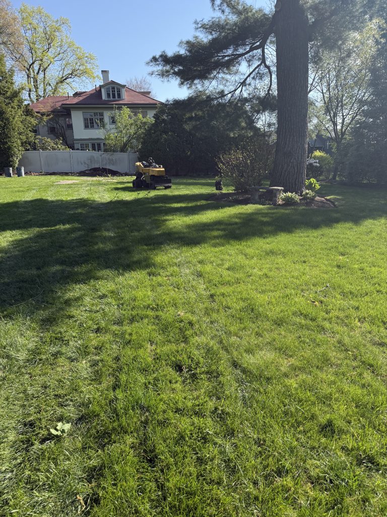 Project Photos