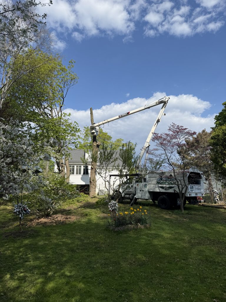 Project Photos