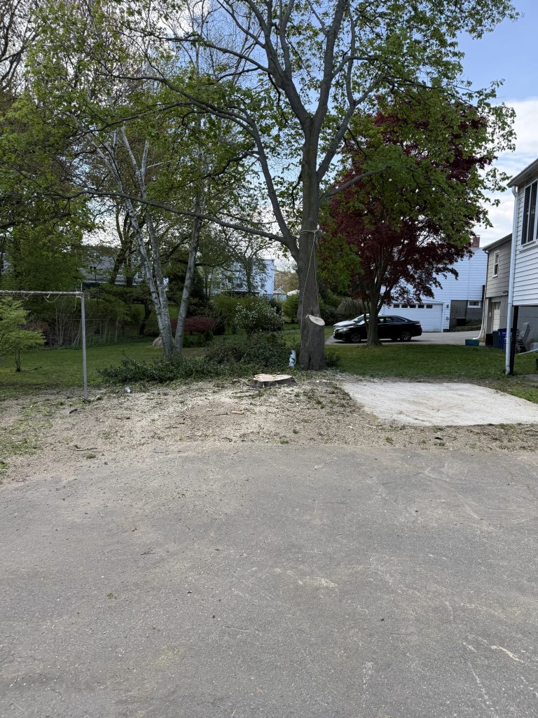 Project Photos
