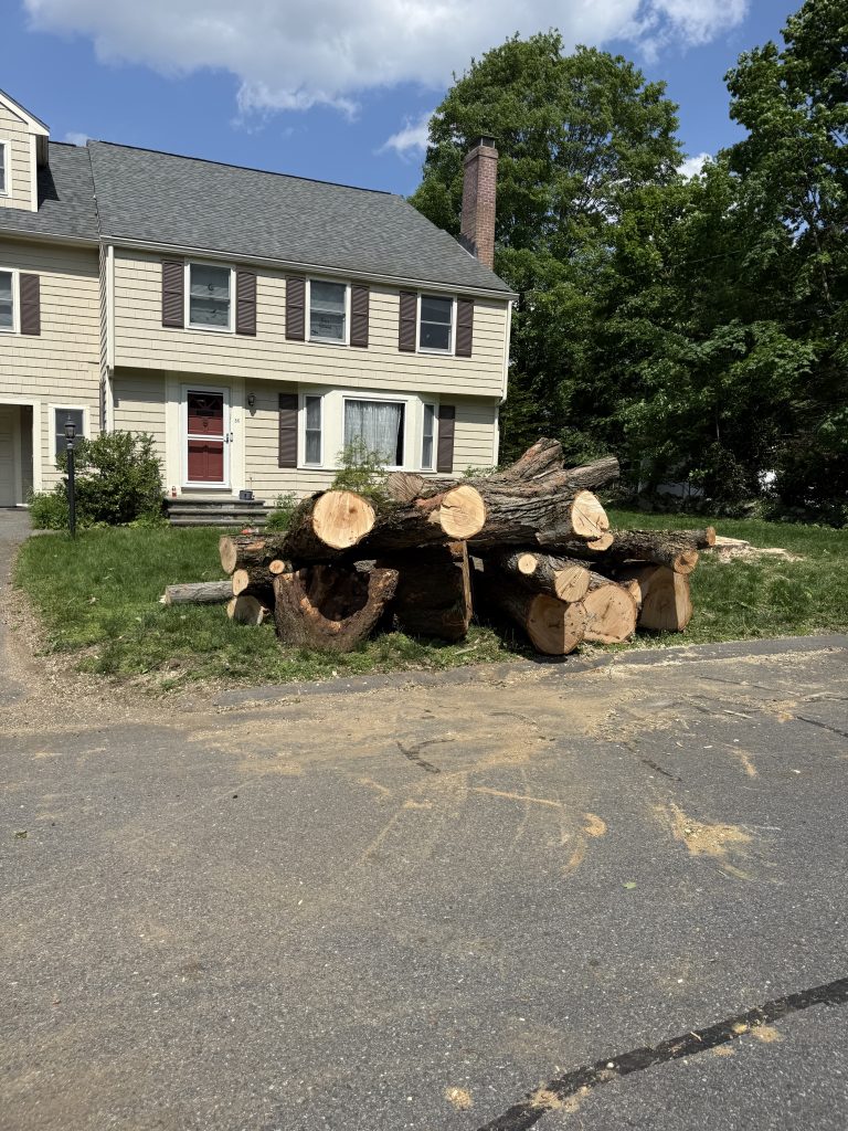 Project Photos