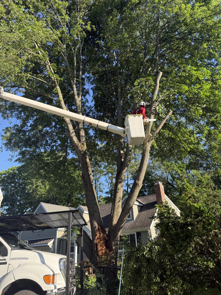 Project Photos