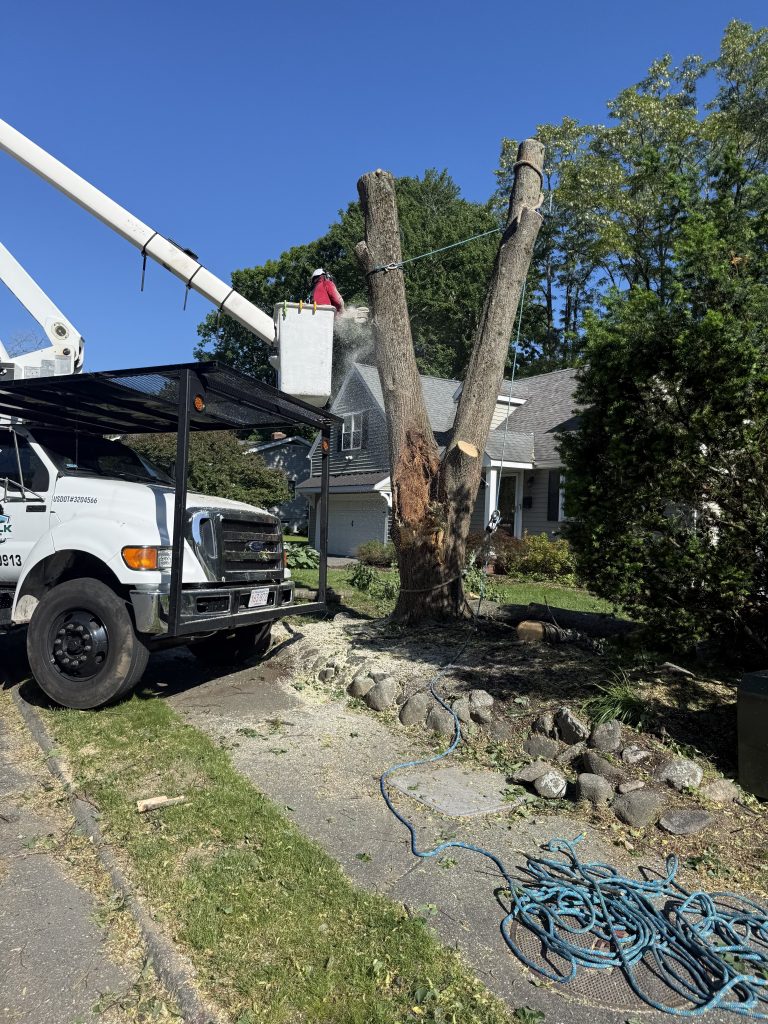 Project Photos