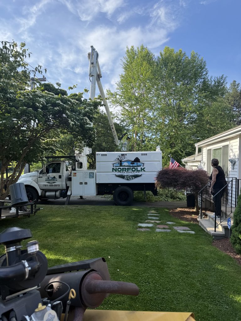 Project Photos