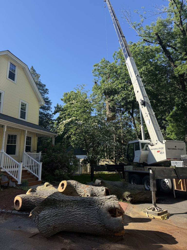 Project Photos