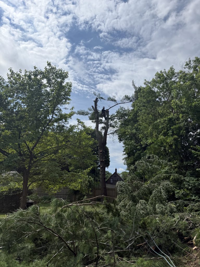 Project Photos