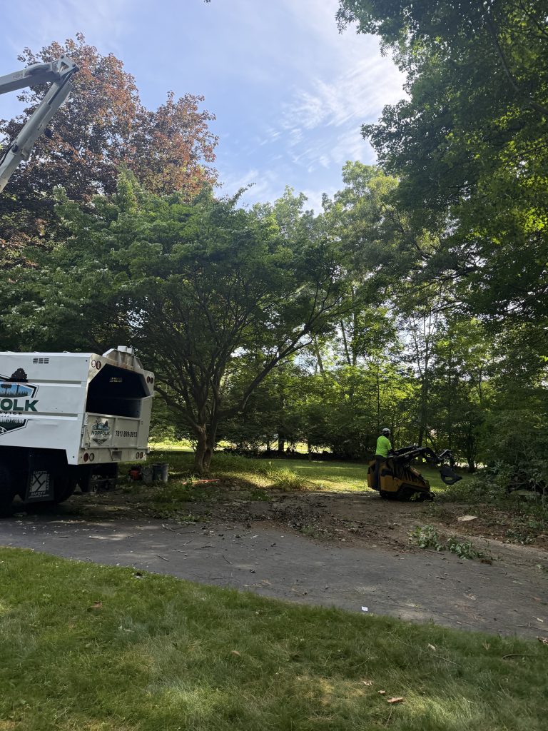 Project Photos