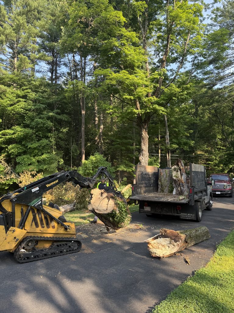 Project Photos
