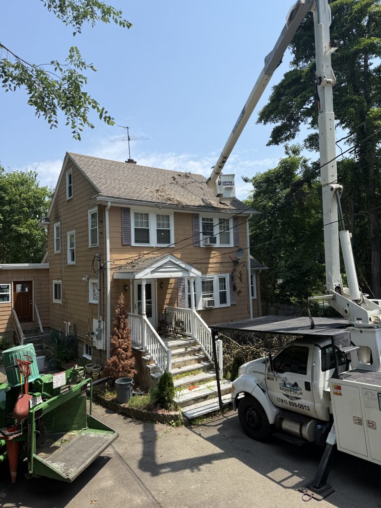 Project Photos