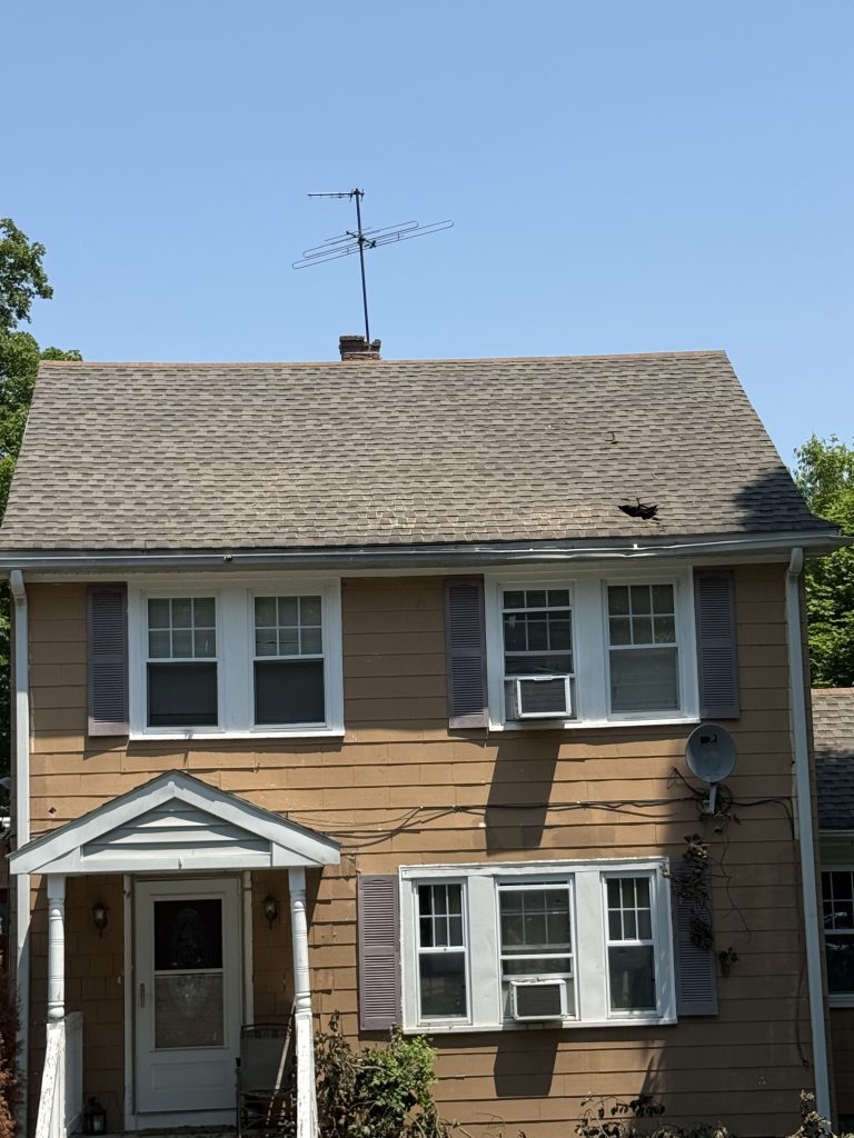 Project Photos