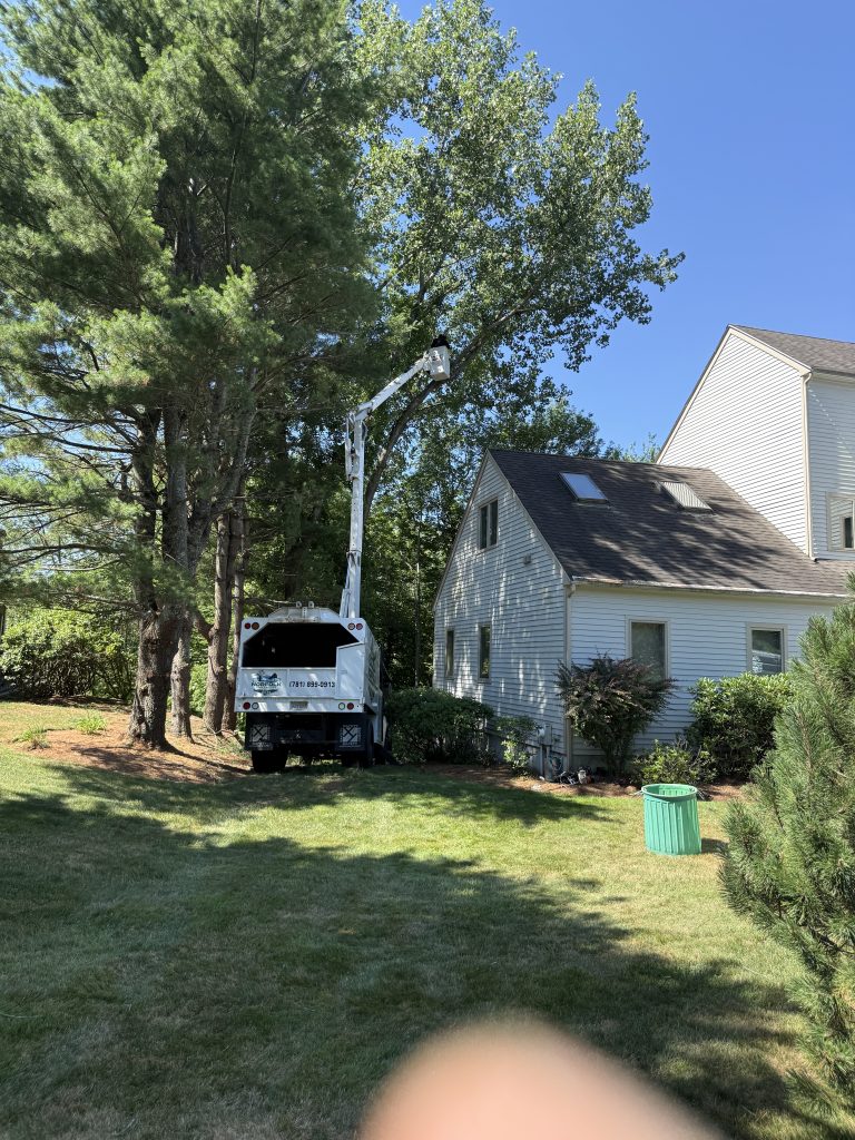 Project Photos