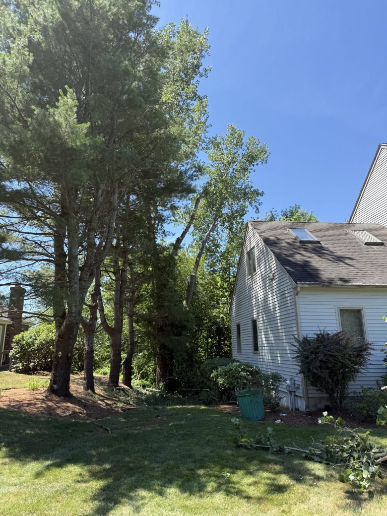 Project Photos