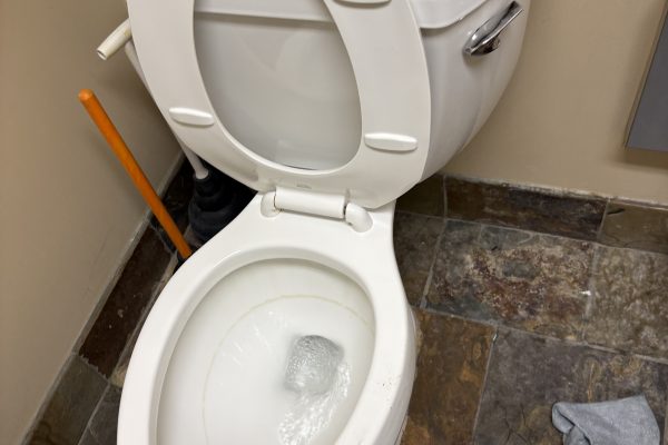 Home 29 Toilet and Drain Repair in Mira Loma, CA