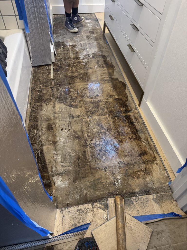 Before Photos