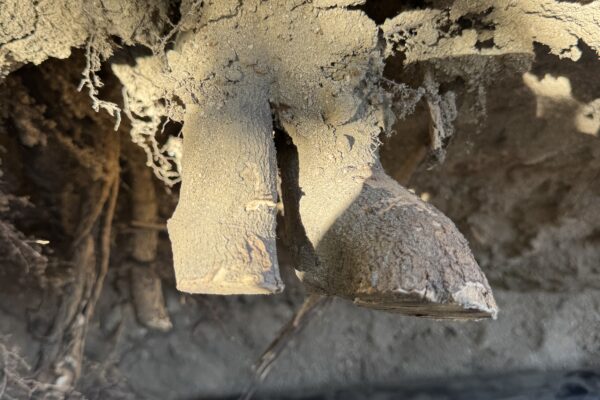 Home 27 Broken Cast Iron Sewer Line Replacement in San Bernardino
