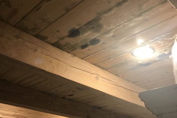 Water Damage Services in Thousand Oaks, CA