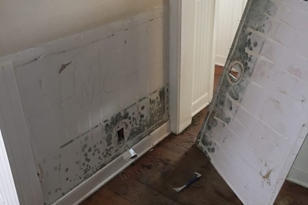 Mold Remediation in Thousand Oaks, CA