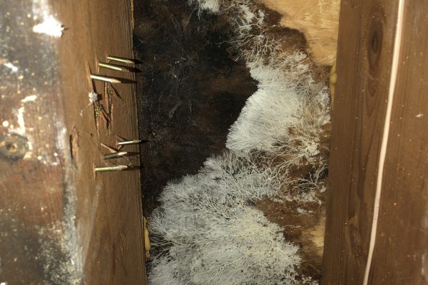 Water Damage Repairs in Newbury Park, CA