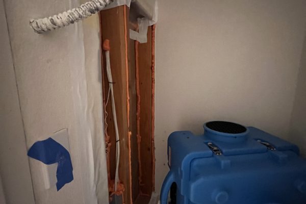 Mold Clearance Test Irvine, California