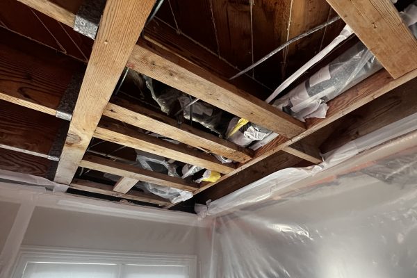 Mold Clearance Test in Costa Mesa, CA