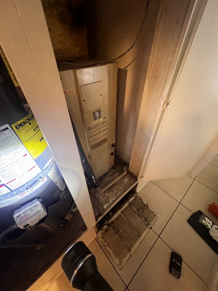 Project Photos