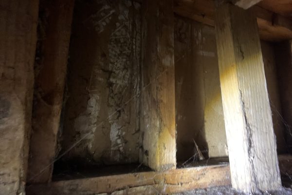 Commercial Mold Inspections Fontana, CA