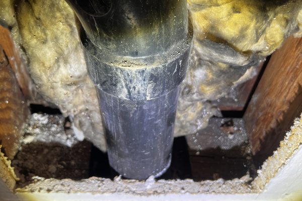 Mold Inspection In Pasadena, CA