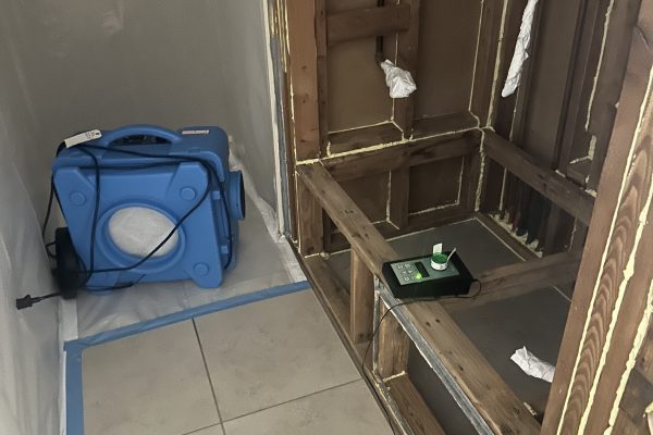 Mold Clearance Inspection in Fontana, Ca
