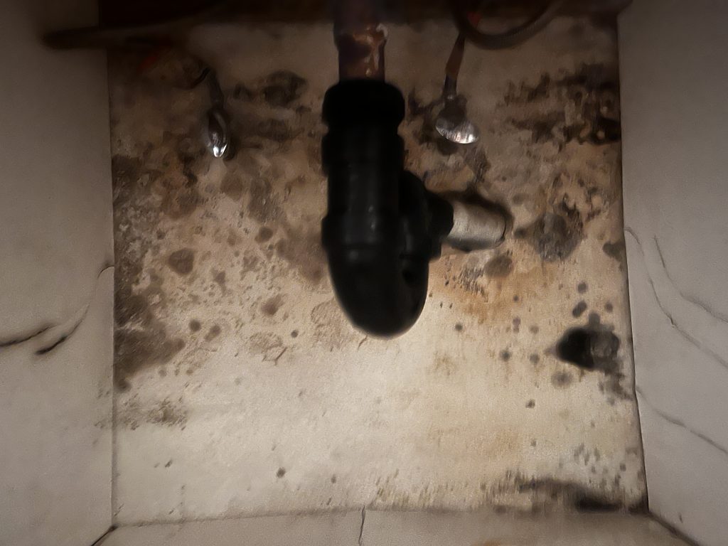 Project Photos
