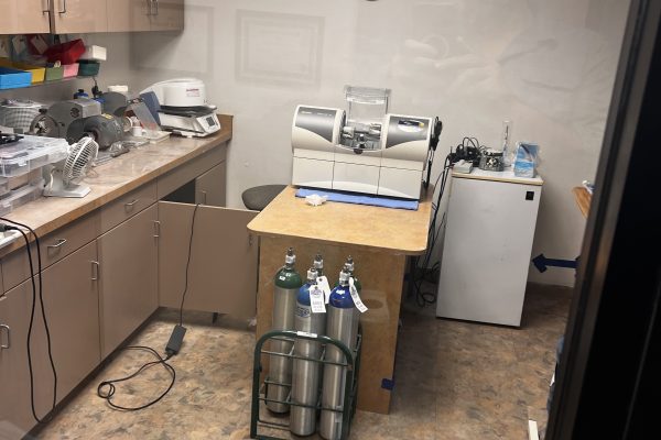 Office Mold Inspection In Newport Beach, CA