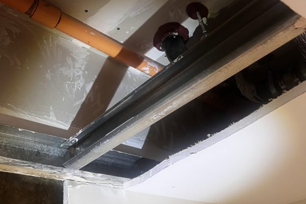 Dana Point Residential Mold Inspection