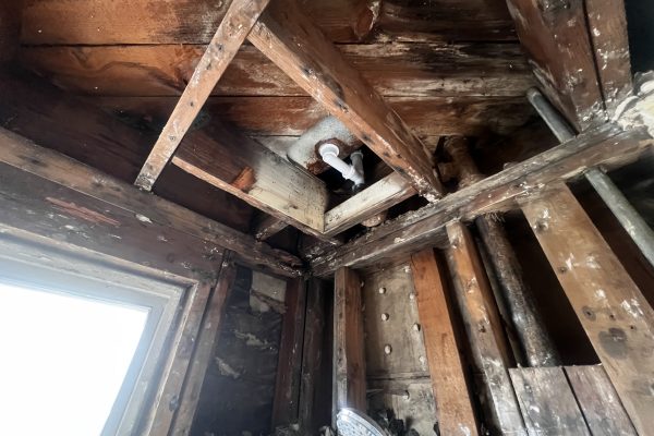 Mold Clearance Test in Pasadena