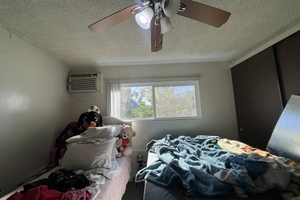 Mold Inspection For Property Manager In Pasadena