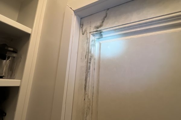 Mold Inspection For A Rental in Corona Del Mar, CA