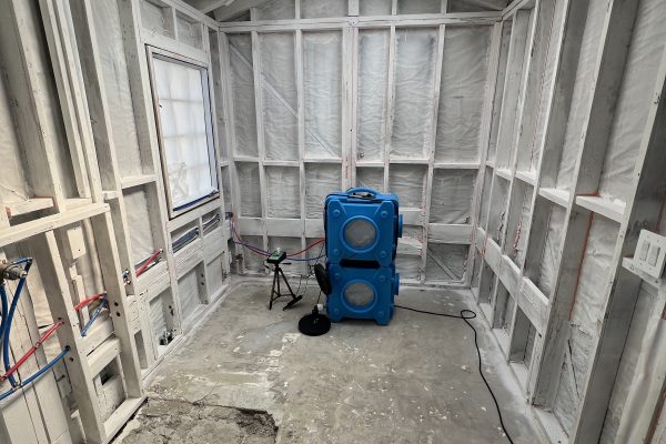 Mold Clarence Test In Newport Beach, CA