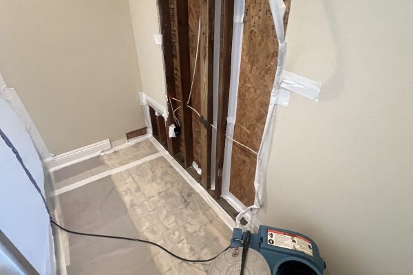 Mold Clearance Test In Irvine, CA
