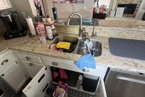 Mold Test In Santa Margarita, CA