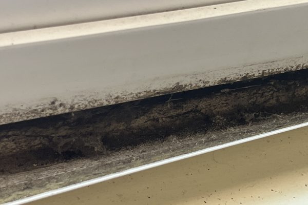 Mold Inspection in Long Beach, CA