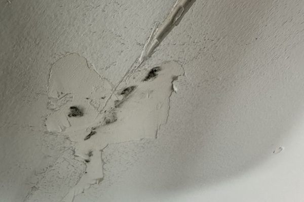 Mold Inspection in Brea