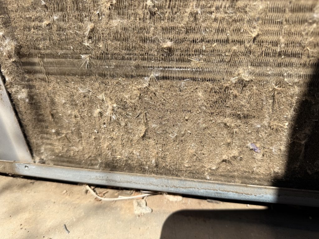Before Photos
