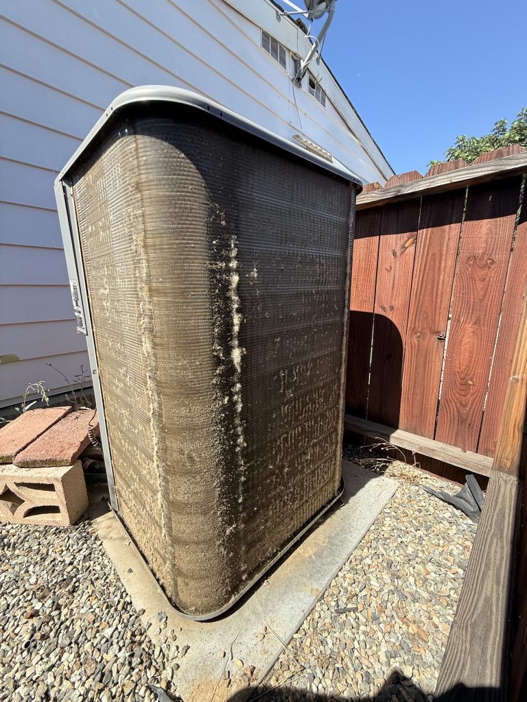 Before Photos