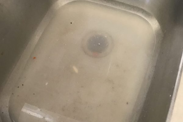Kitchen Sink Backup in Solana Beach, CA