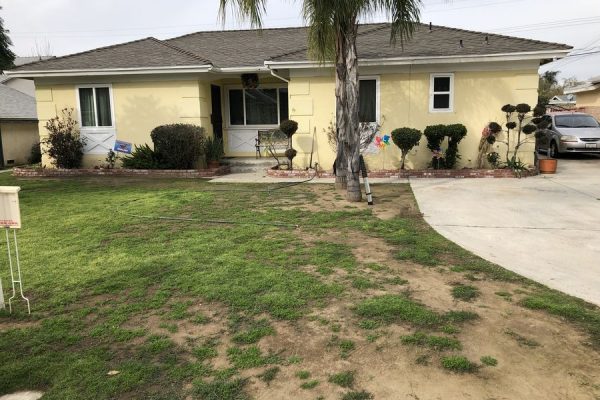 Mold Damage Remediation West Covina CA