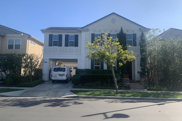 Mold Removal in Irvine Ca
