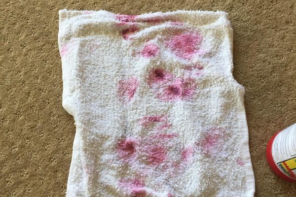 Recent Projects Carpet Cleaning Murrieta, California