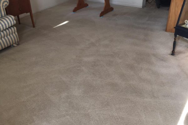 Recent Projects Carpet Cleaning Murrieta, California