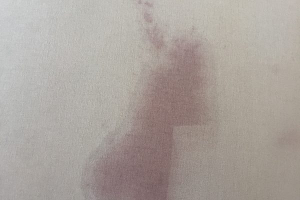 Recent Projects Upholstery Cleaning Murrieta, California