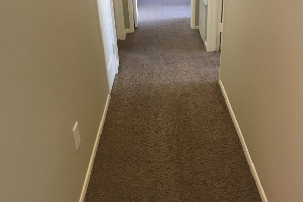 Recent Projects Residential Carpet Cleaning Sun City, California
