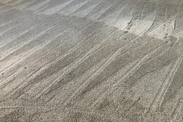 Recent Projects Carpet Cleaning Service Murrieta, California