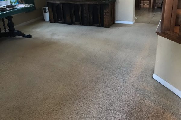 Recent Projects Carpet Cleaning Menifee, California
