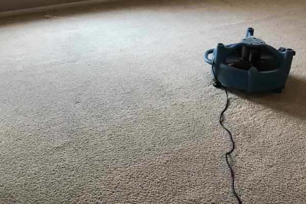 Recent Projects Carpet Cleaning and Stain Removal Murrieta, California